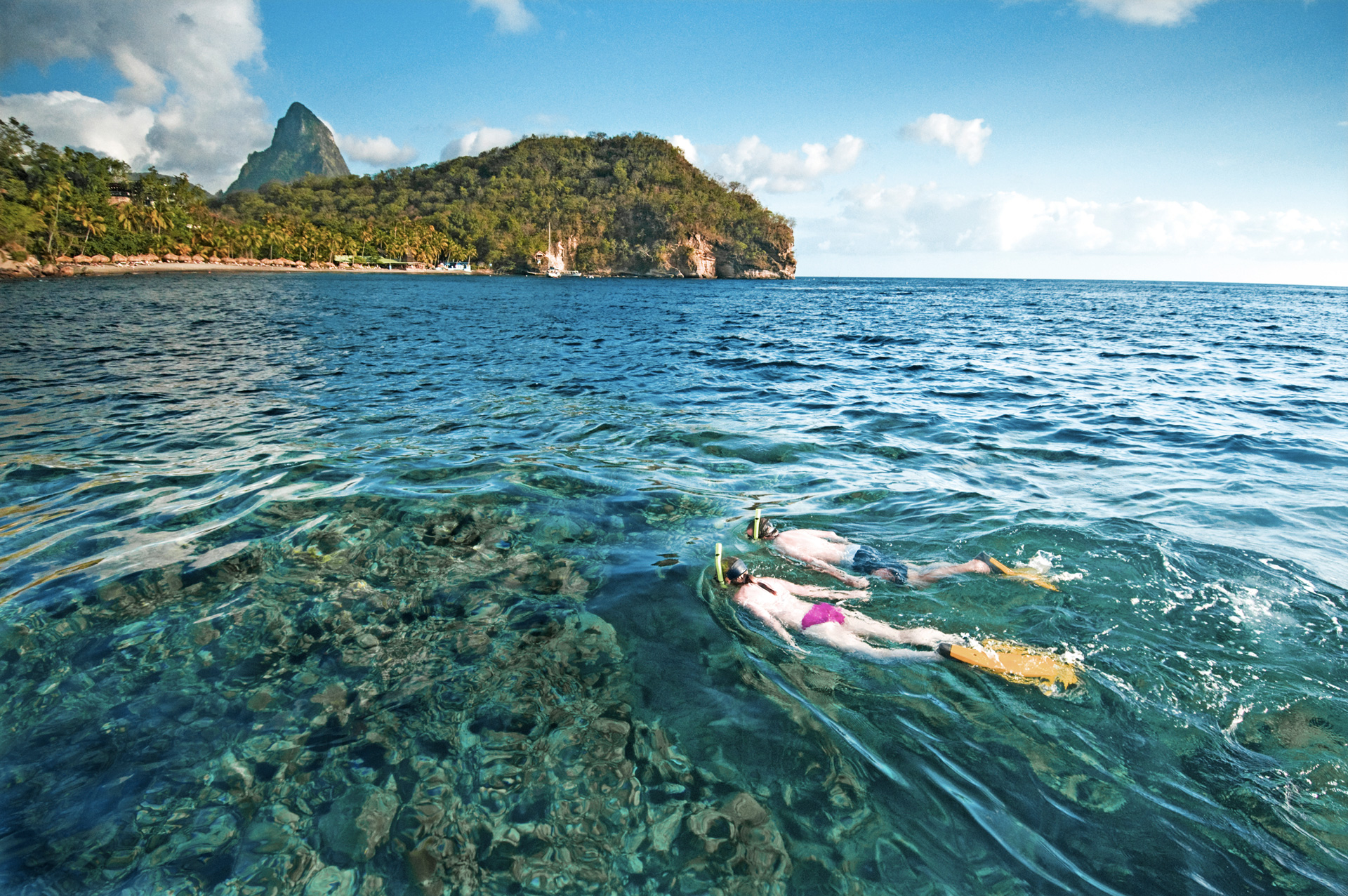 Snorkelling At Anse Chastanet
