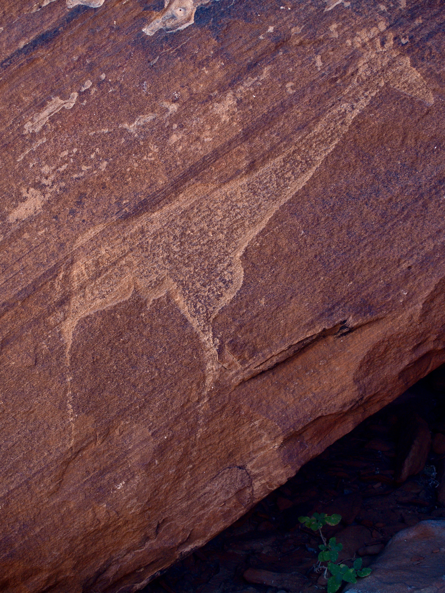 A giraffe carved into a red rock