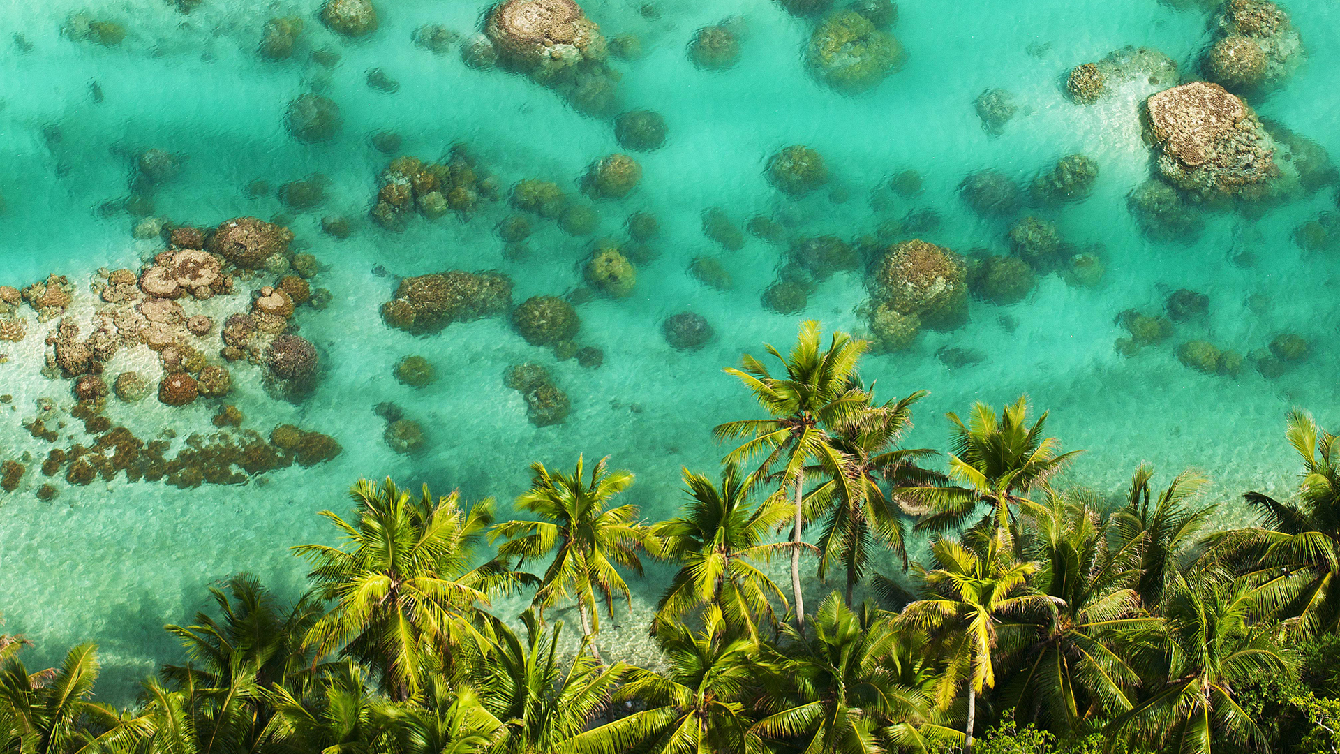 Clear water aerial