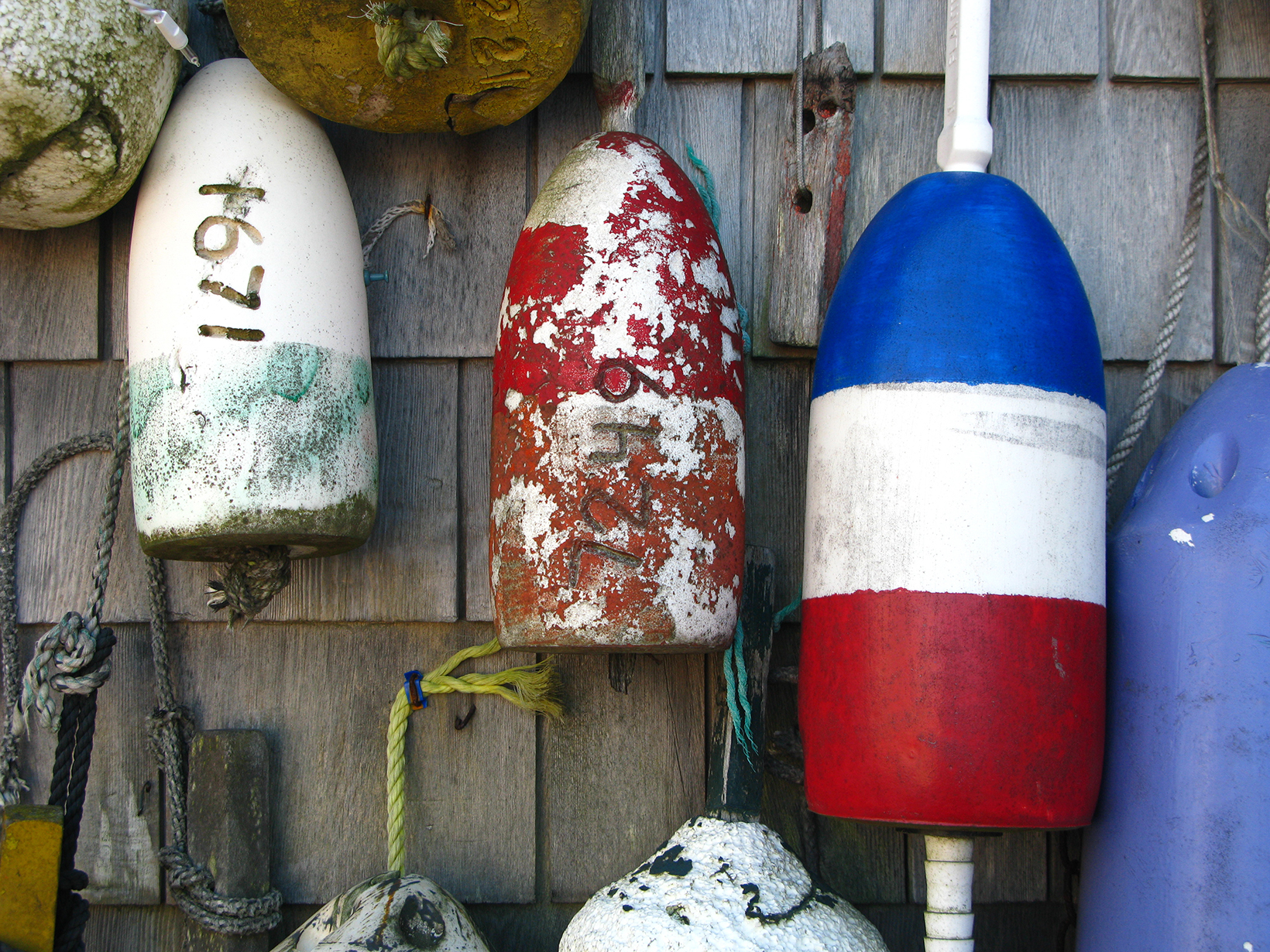 Buoys hanging from wall in Maine New England