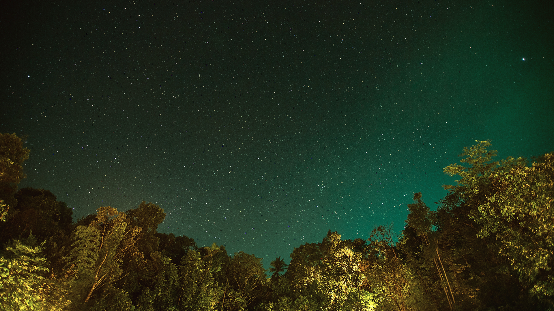 The reading room, A new dimension, night sky