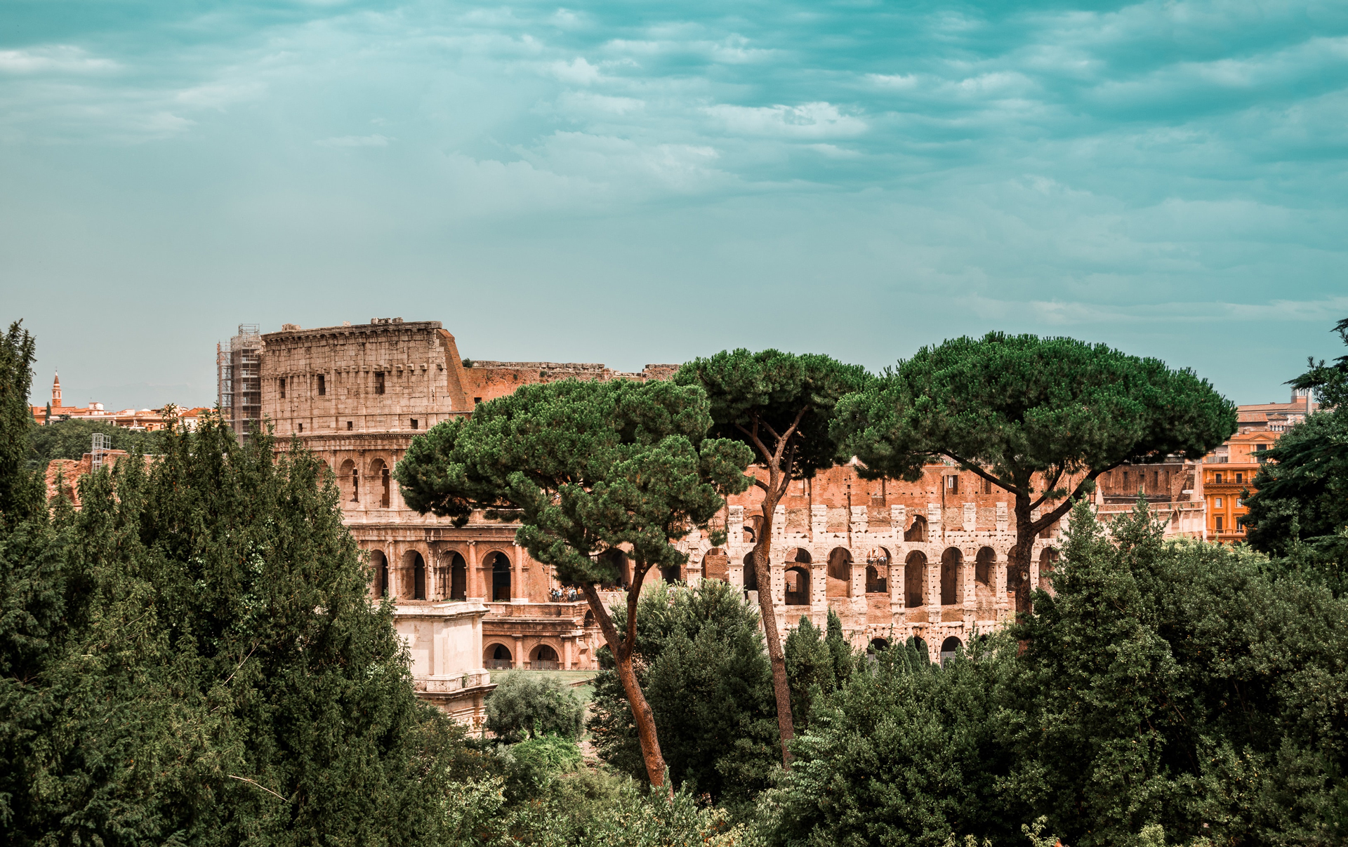 The Colosseum in Rome seen behind trees