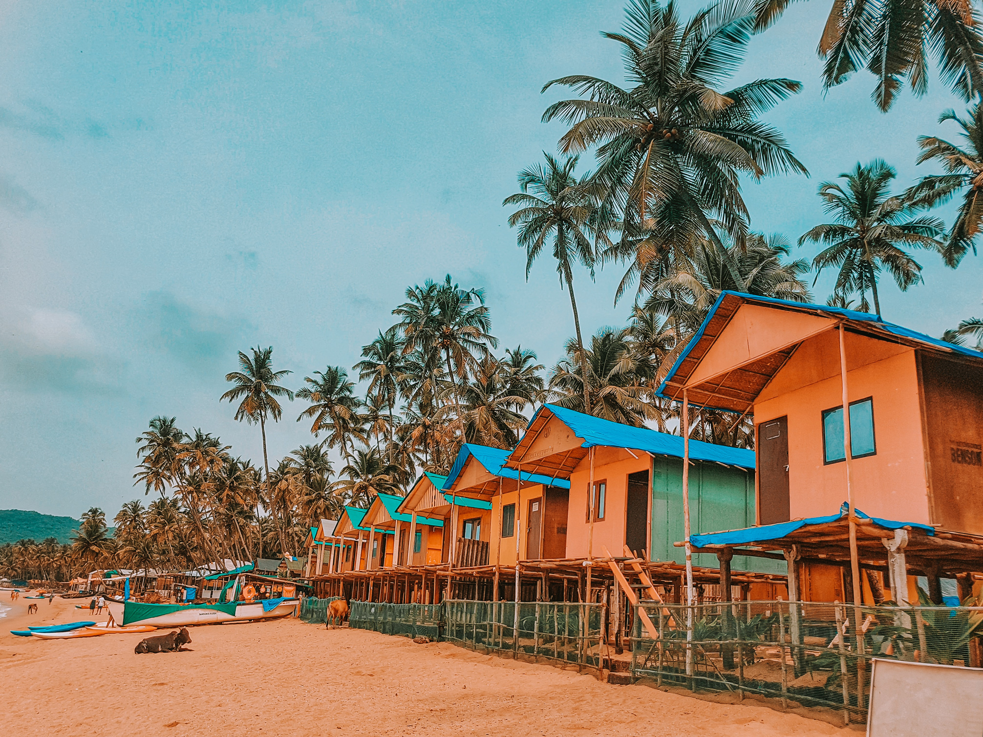 Houses with blue roofs on stilts on the beach in Goa