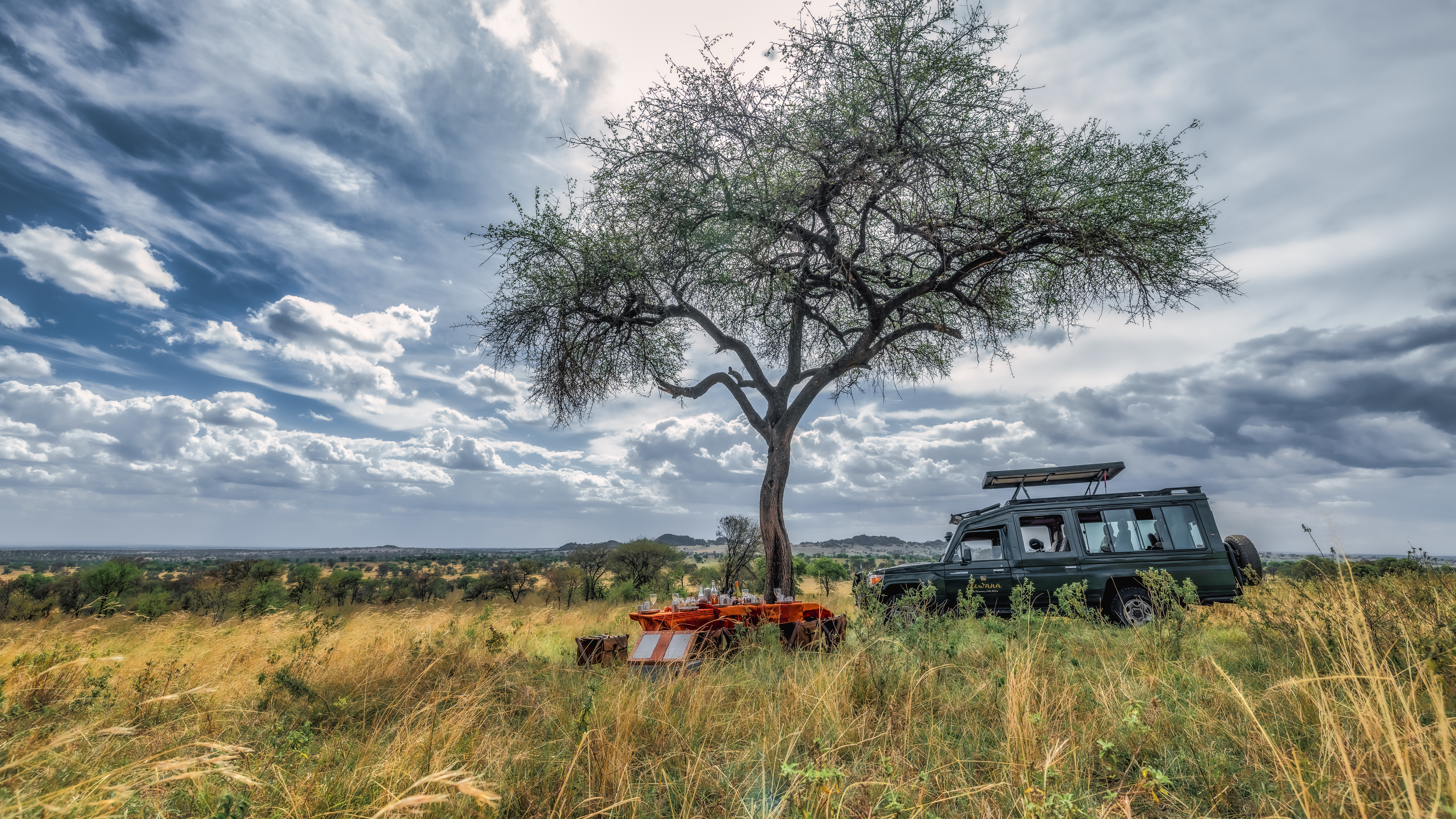 A safari jeep parked beneath a tree with a picnic table set up for lunch in the savannah