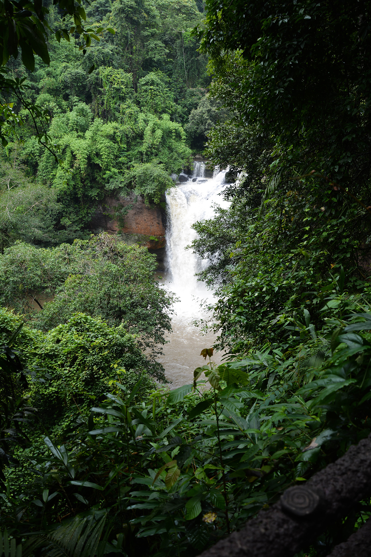Waterfalls in the middle of green trees