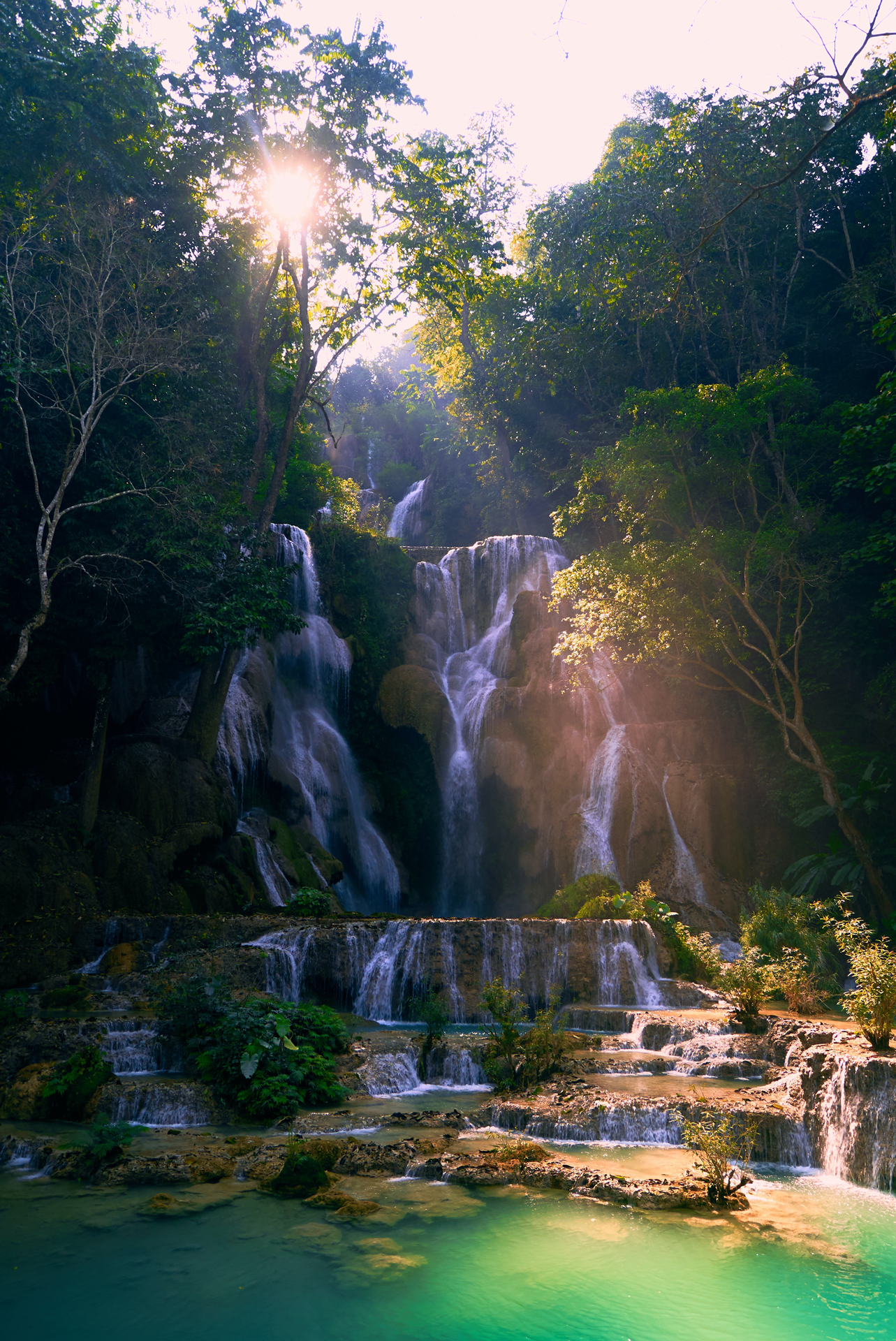 A waterfall in a forest
