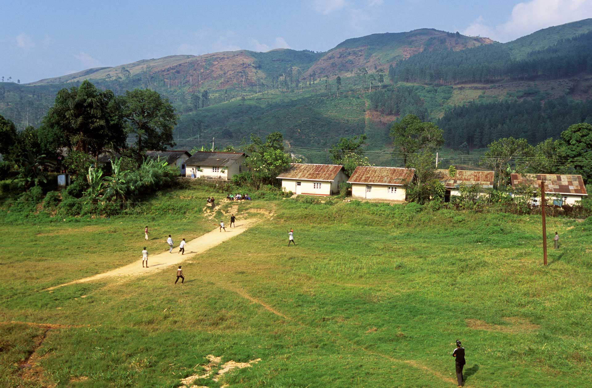 A group of people playing cricket on a green field in Sri Lanka, Nuwara Eliya District
