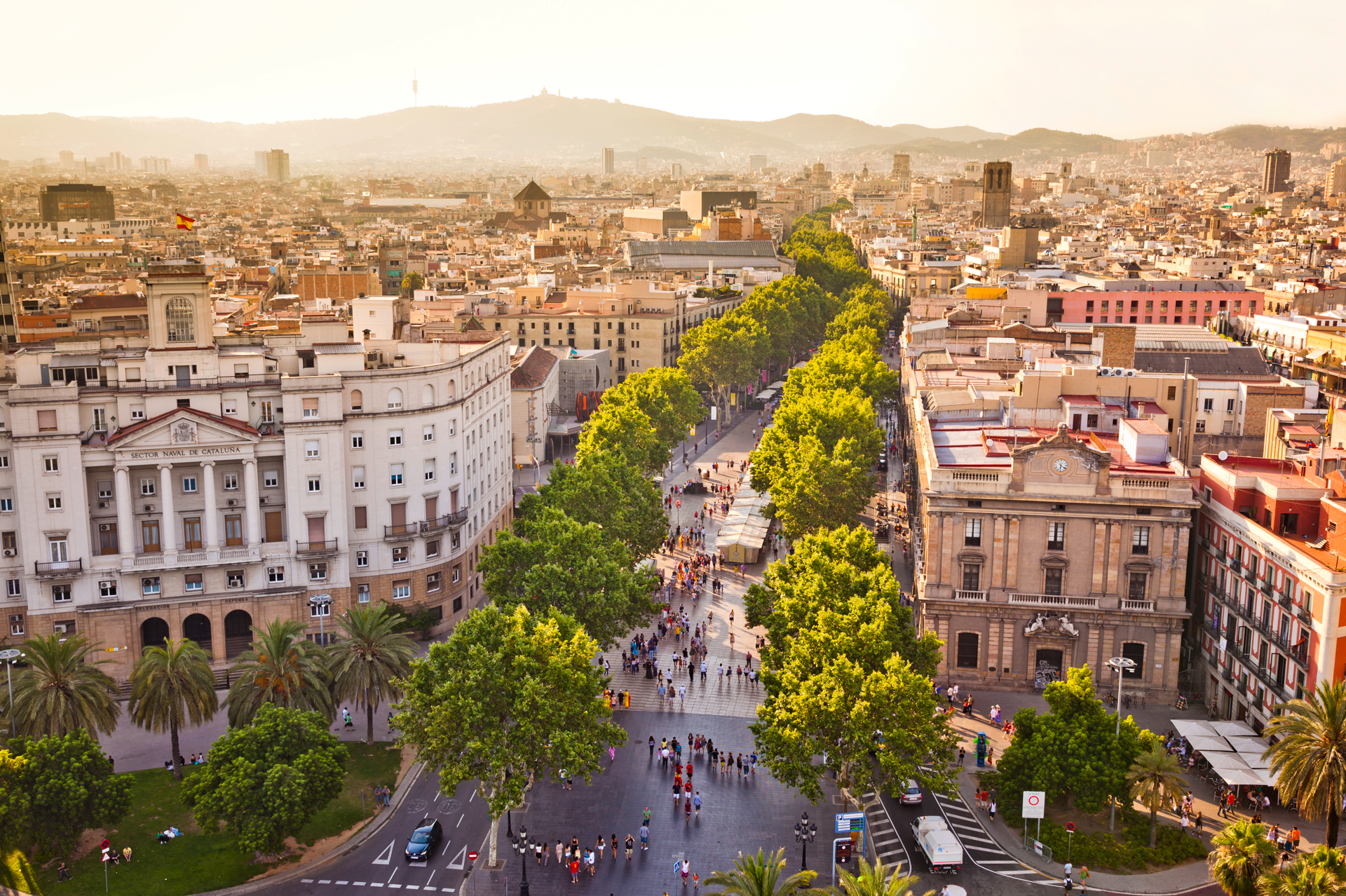 Aerial view of La Rambla street lined with green trees in Barcelona