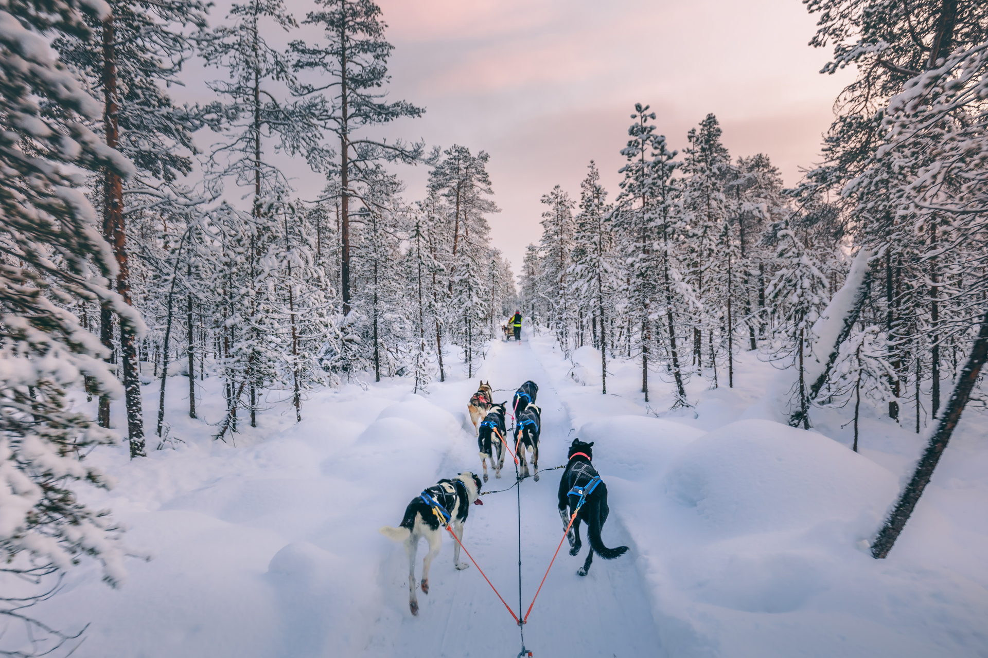 carrier travel lapland