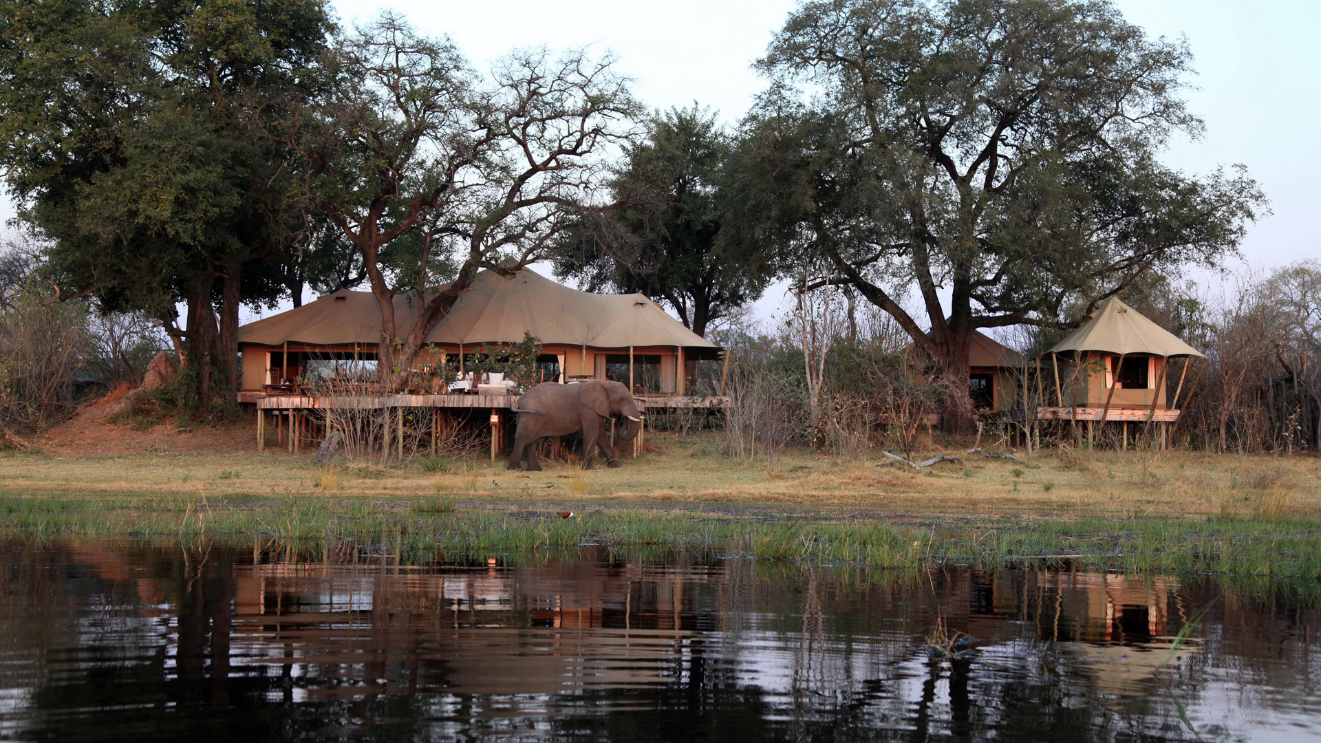 Africa, Botswana, Zarafa, Exterior