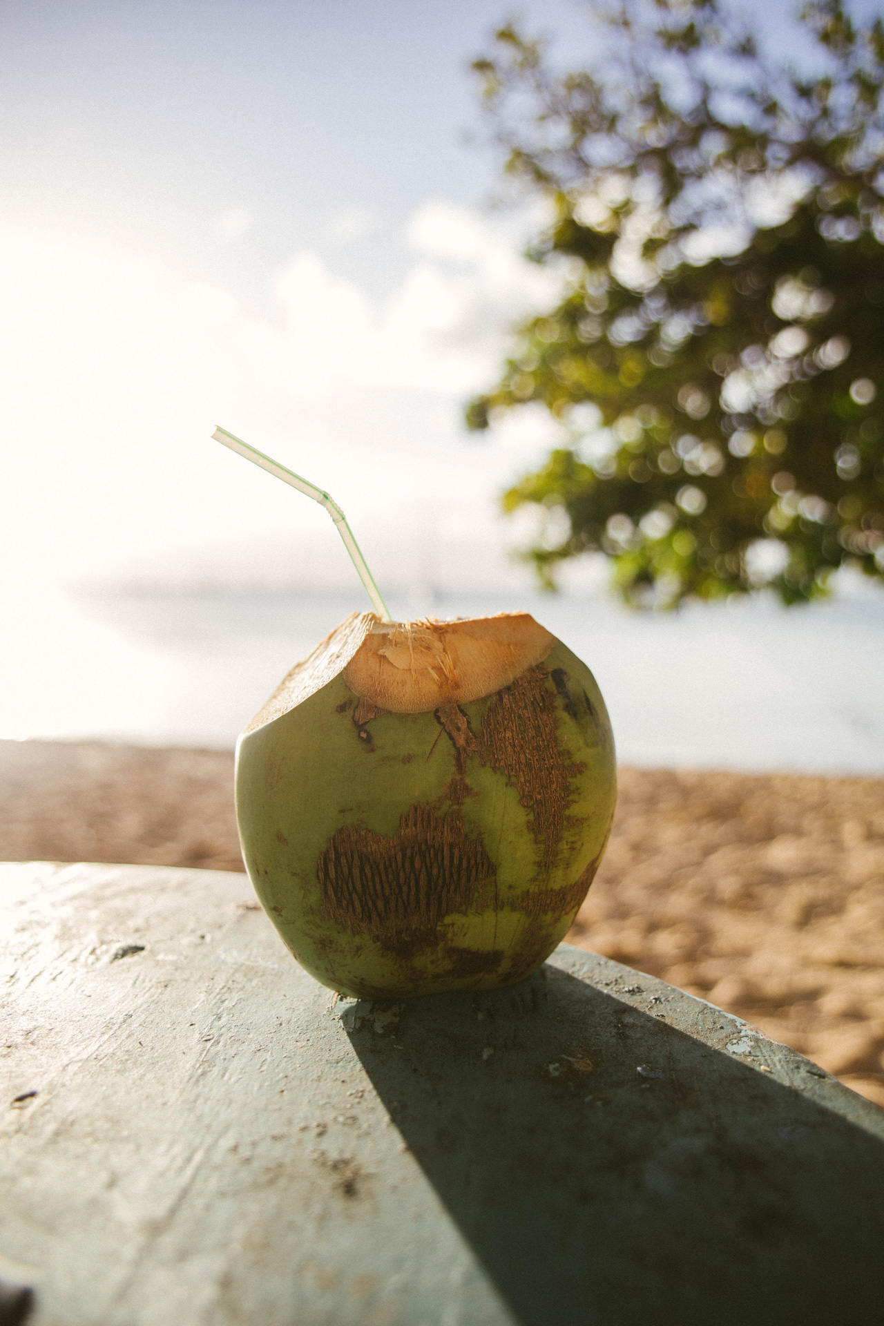 A coconut cut open with a straw in the top