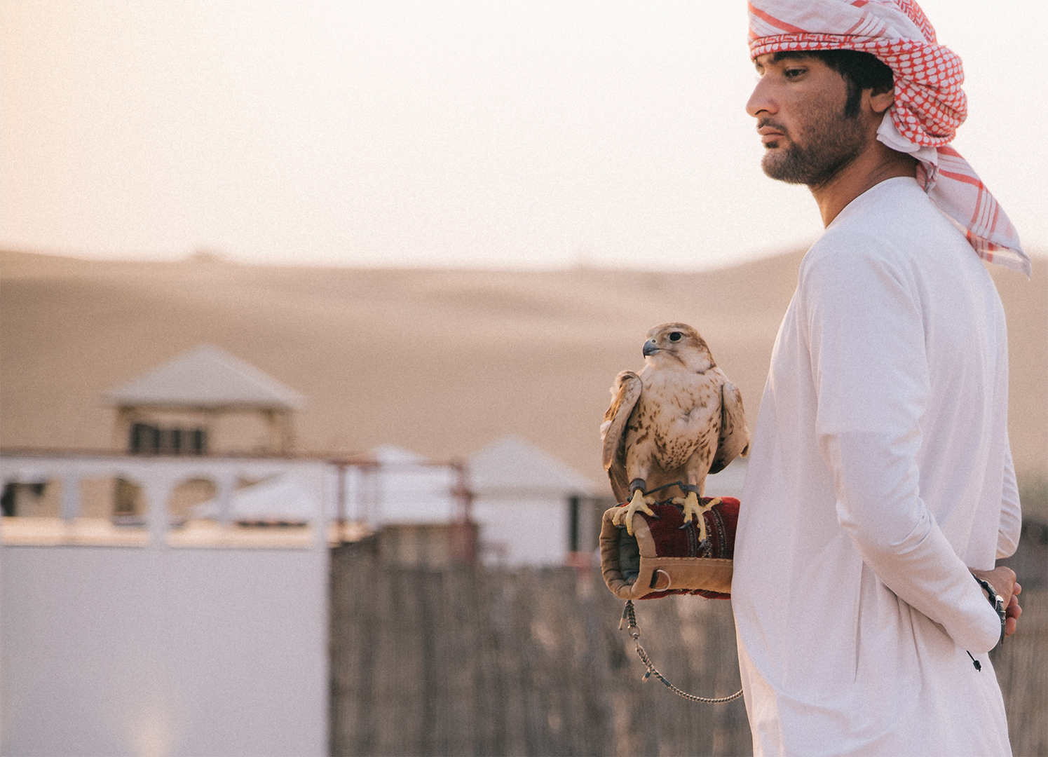 A person in traditional attire holding a falcon on their arm in a desert setting.