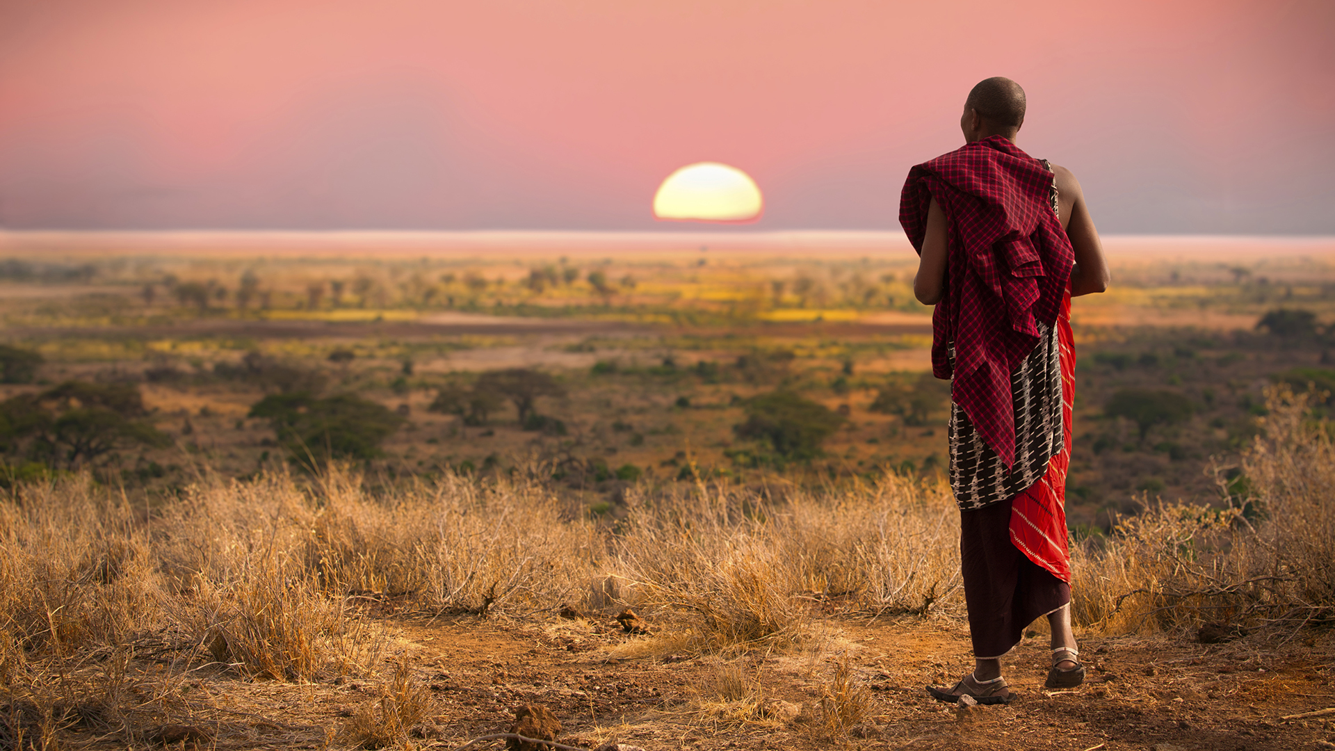 Masai man, wearing traditional blankets, overlooks Serengeti in Tanzania as the colorful sunset fills the sky