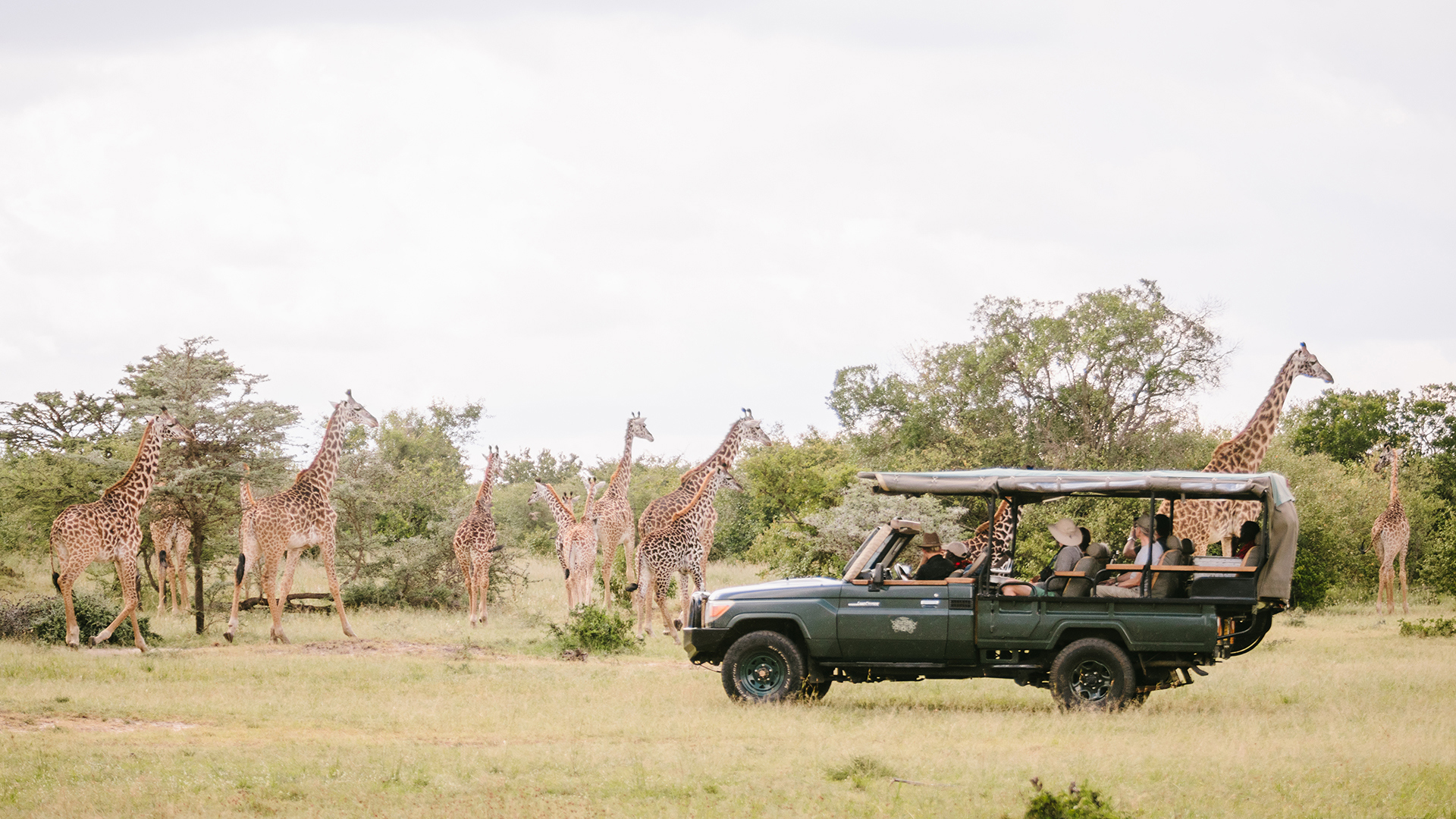 Africa, Kenya, Cottars 1920s Camp, Safari