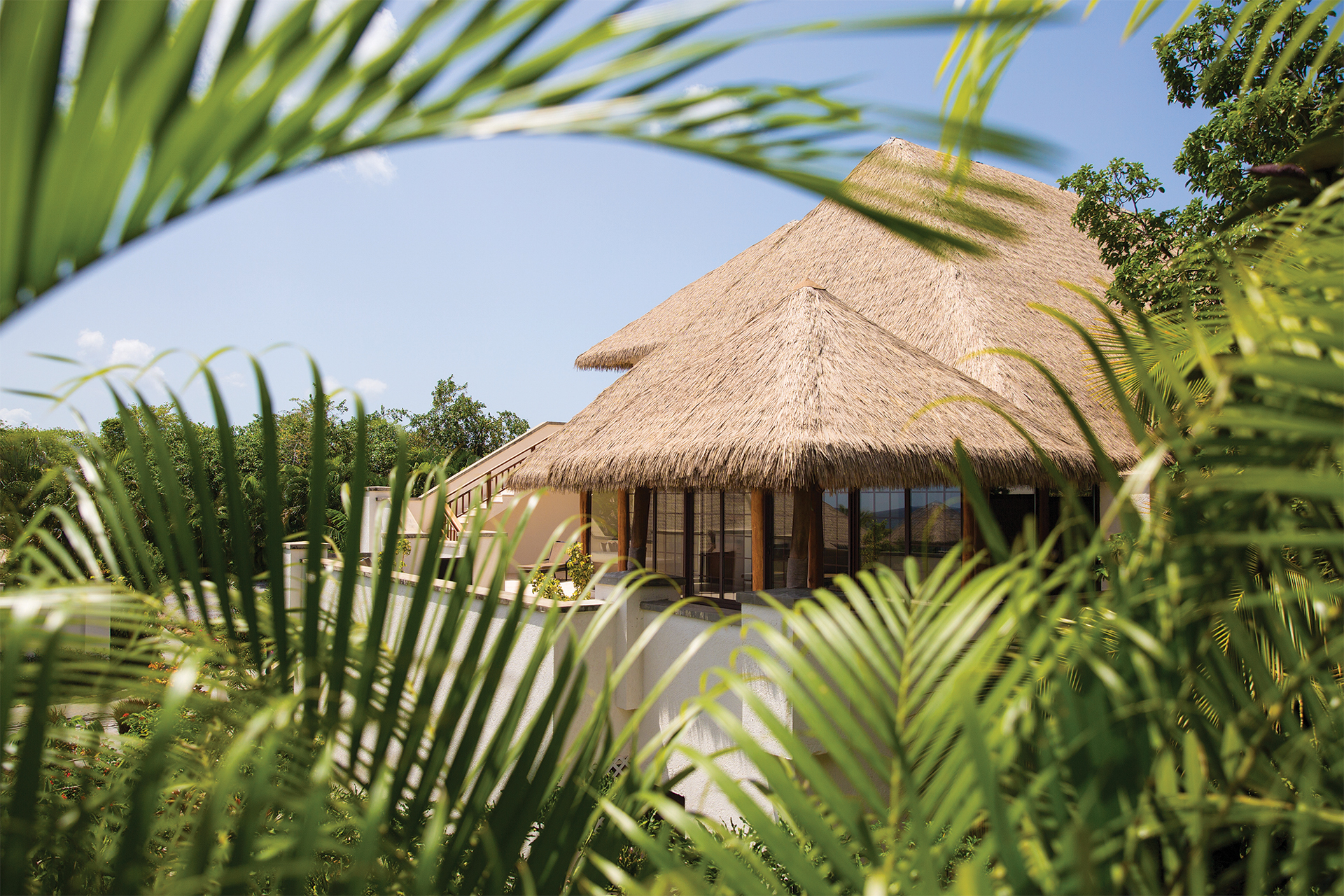 Looking through plant leaves at a white resort building with a straw roof