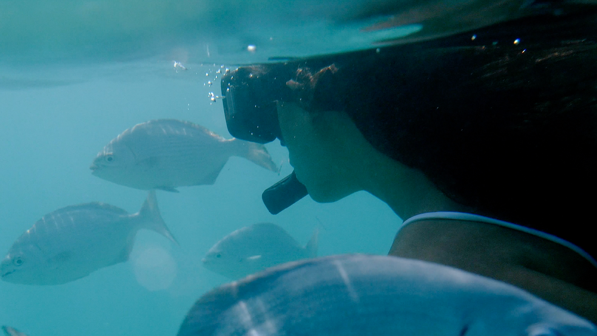 Caribbean, Mexico, Chable Maroma, Snorkelling