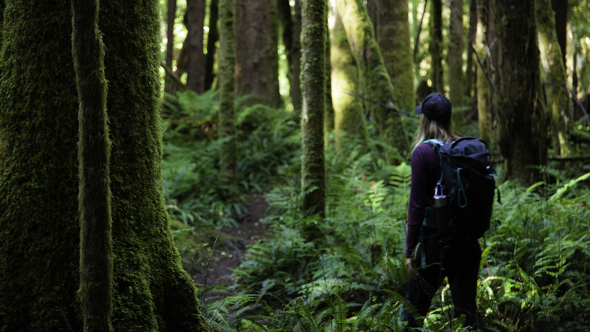 North America & Canada, Canada, Clayoquot Wilderness Lodge, Hiking
