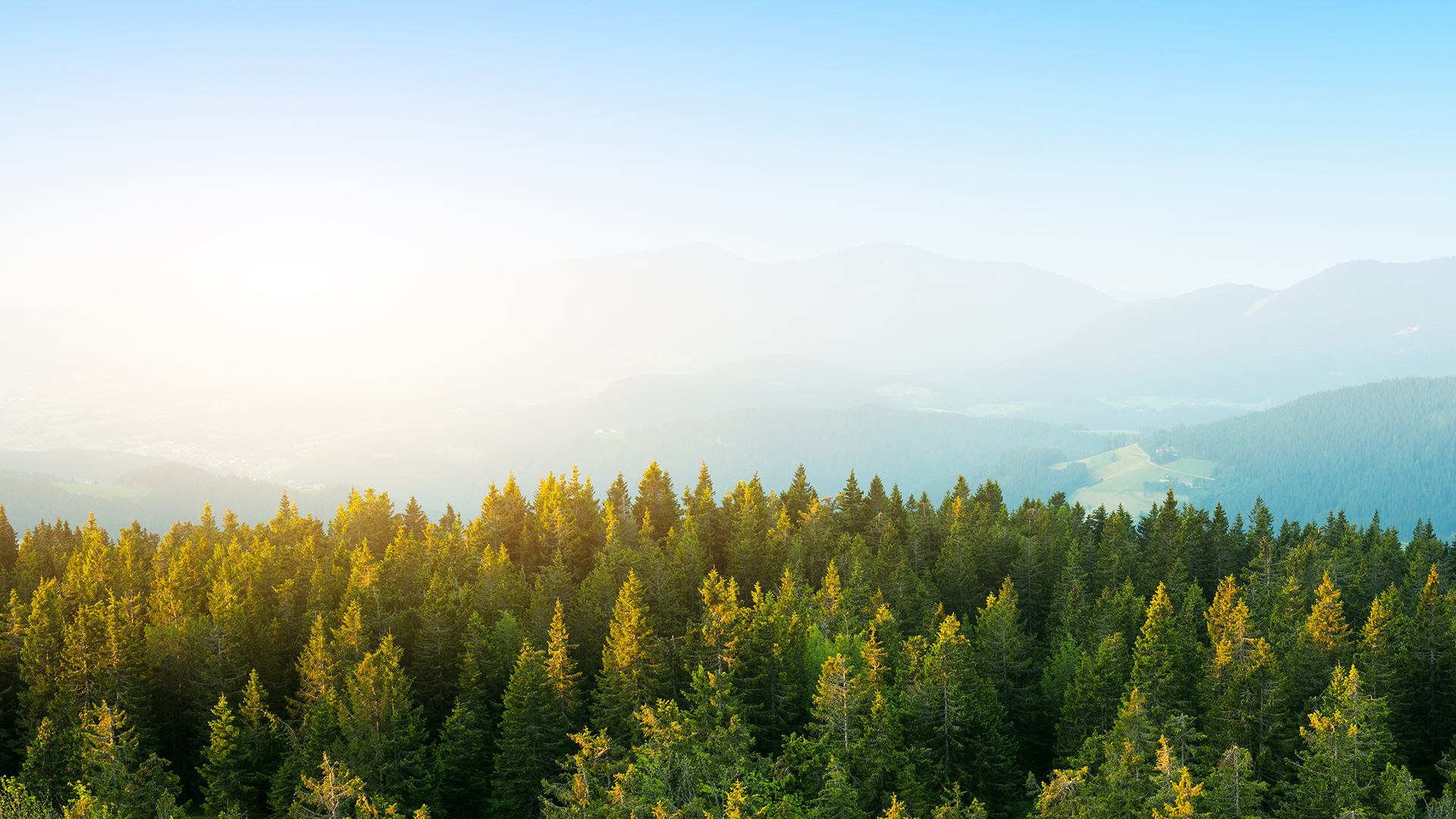 The top of a green forest is seen with mountains in the background