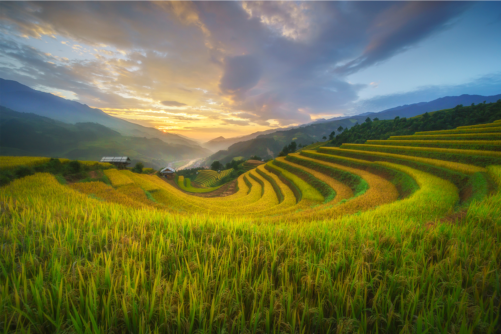 A person with a colourful patterned backpack stands amidst lush greenery, facing away from the camera.