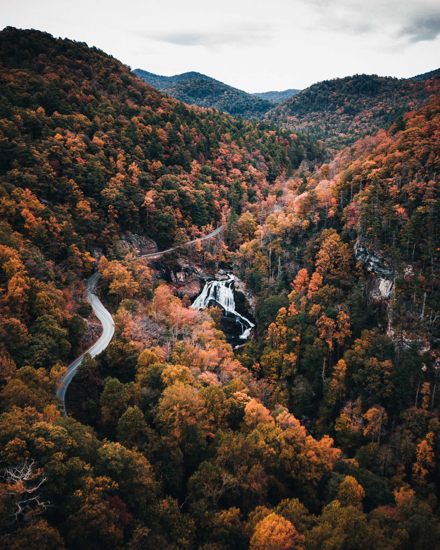 Aerial photo of road running between forest during daytime