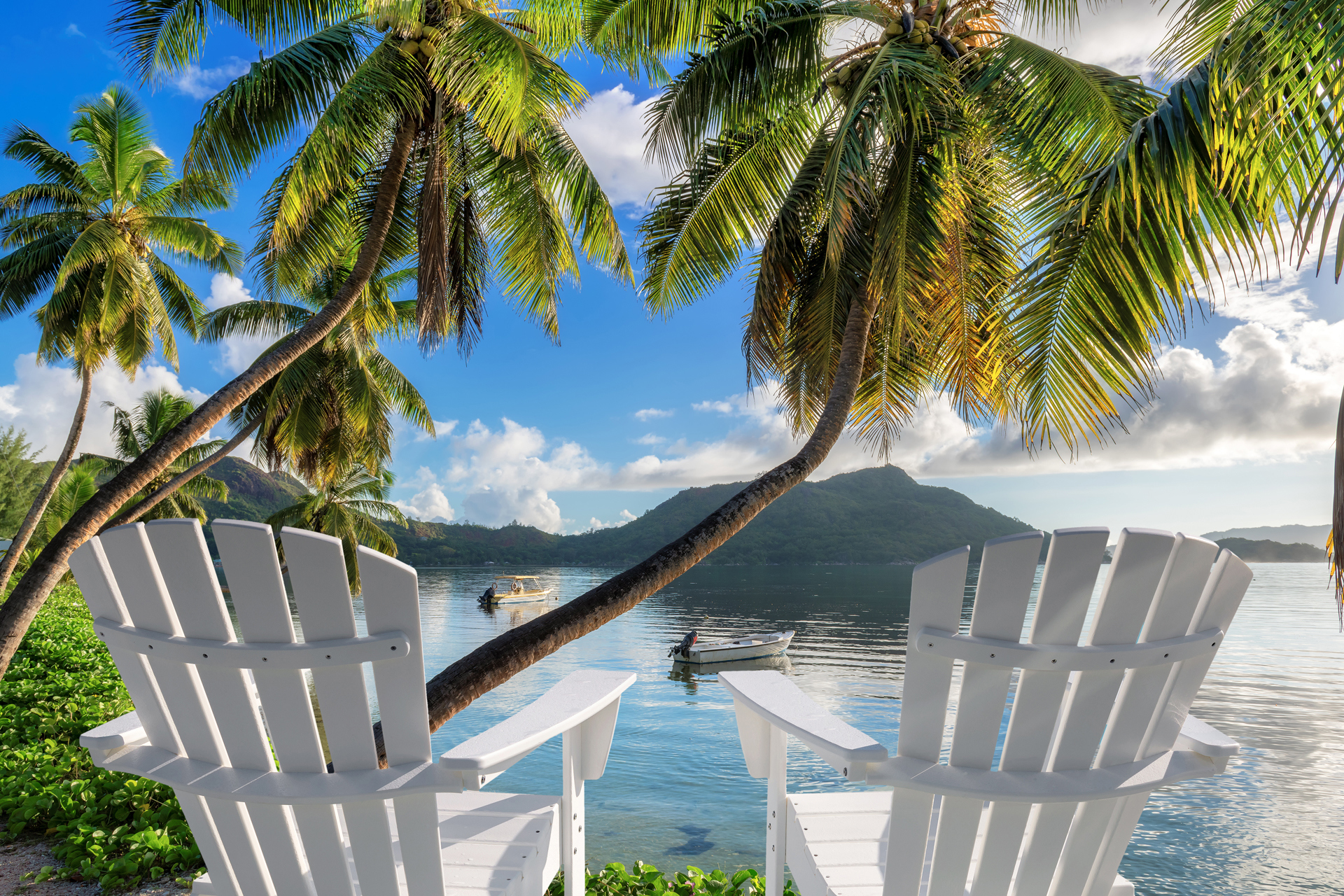Sandy beach with palm trees and beach chairs in tropical island