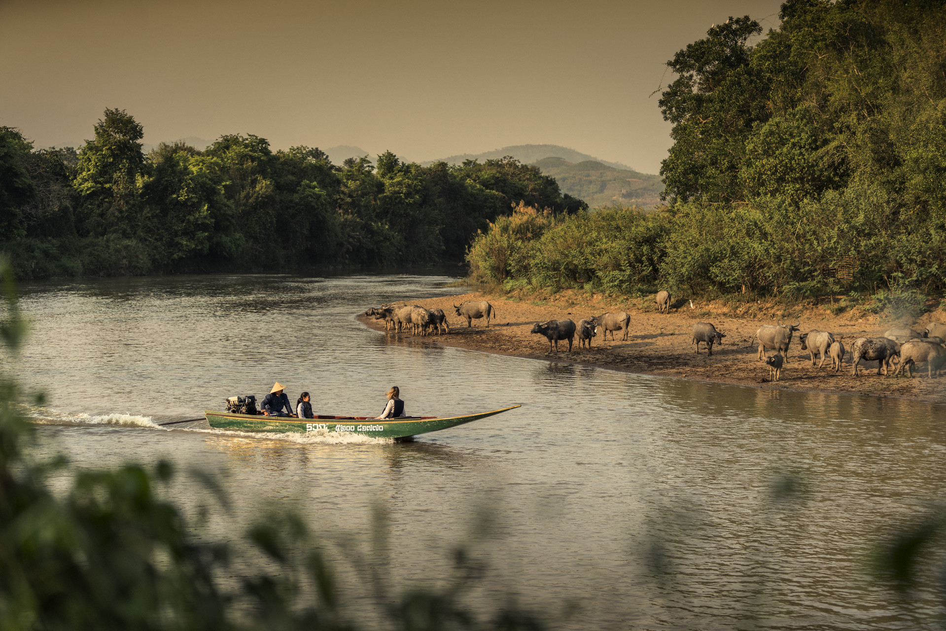 A river landscape with a boat carrying three people motoring past a herd of buffalo on the opposite bank