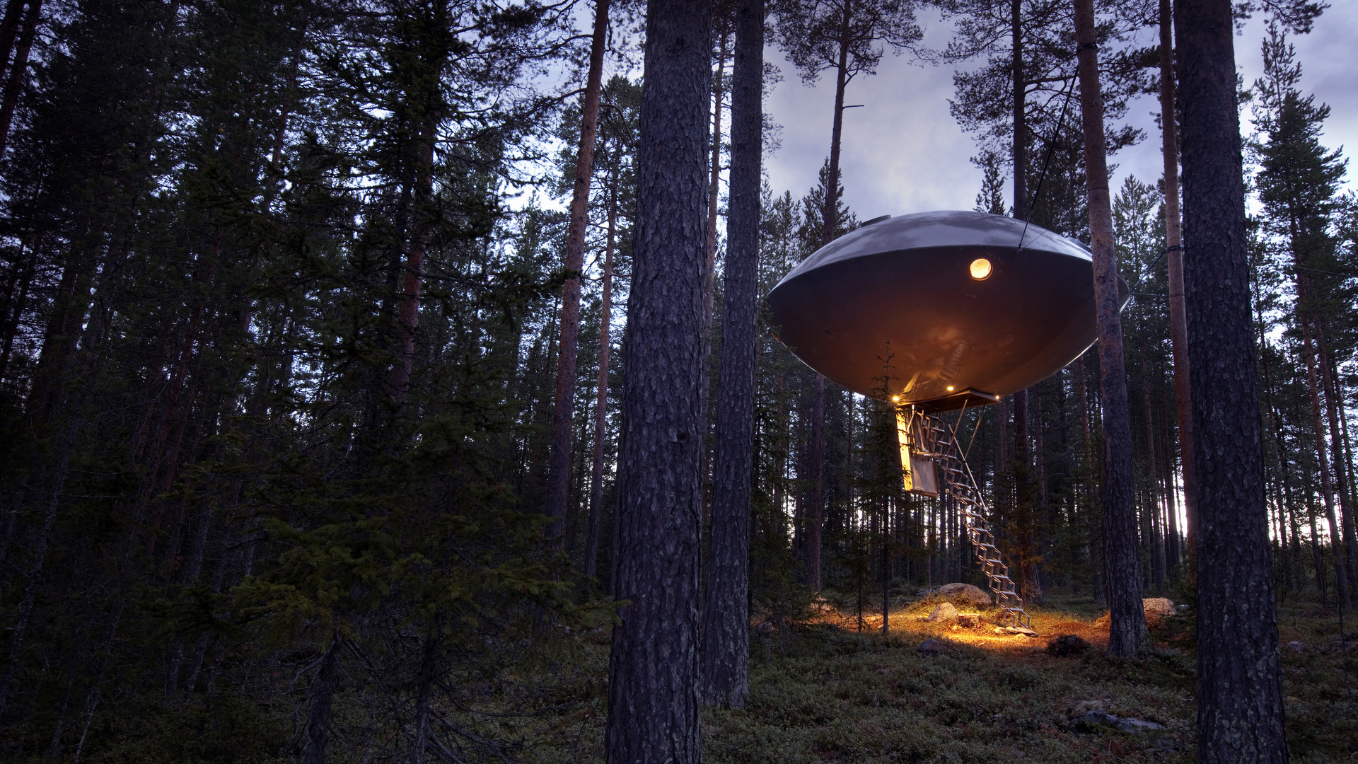Treehotel, Sweden, UFO Exterior