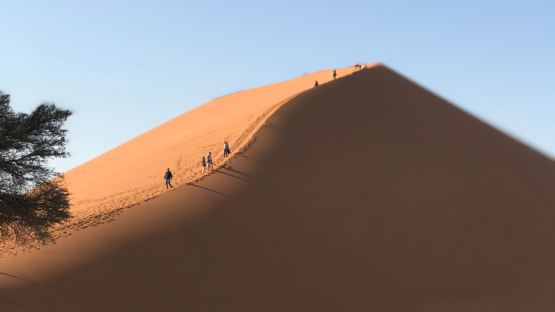 Group walking up the edge of the dunes in Namibrand Nature Reserve