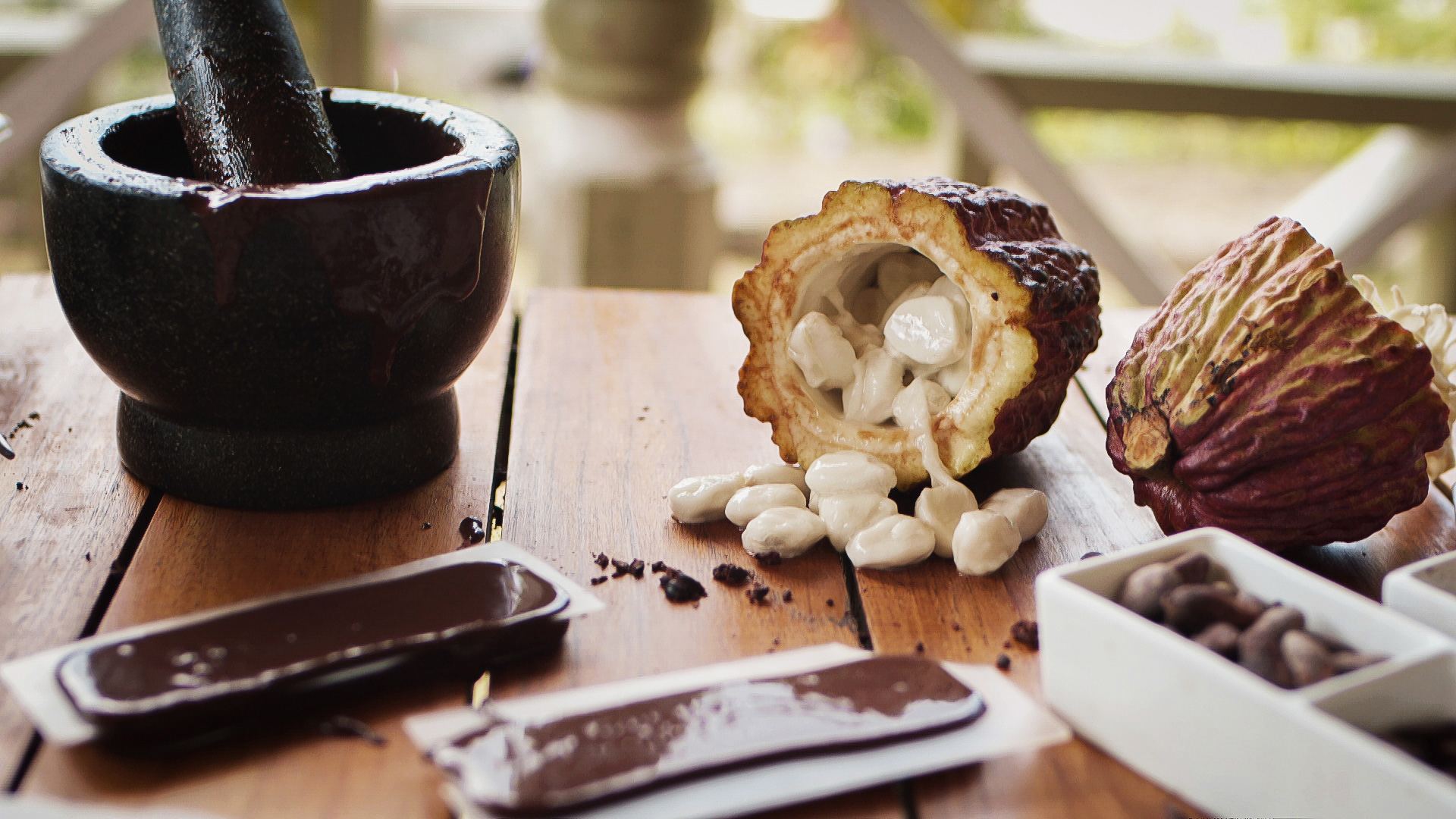 A table with a mortar and pestle, cacao pod and beans
