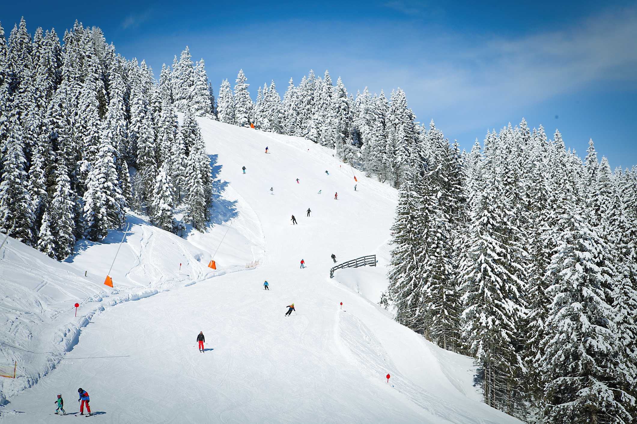 A snowy mountain slope with skiers and snowboarders descending among snow-covered pine trees under a clear blue sky.
