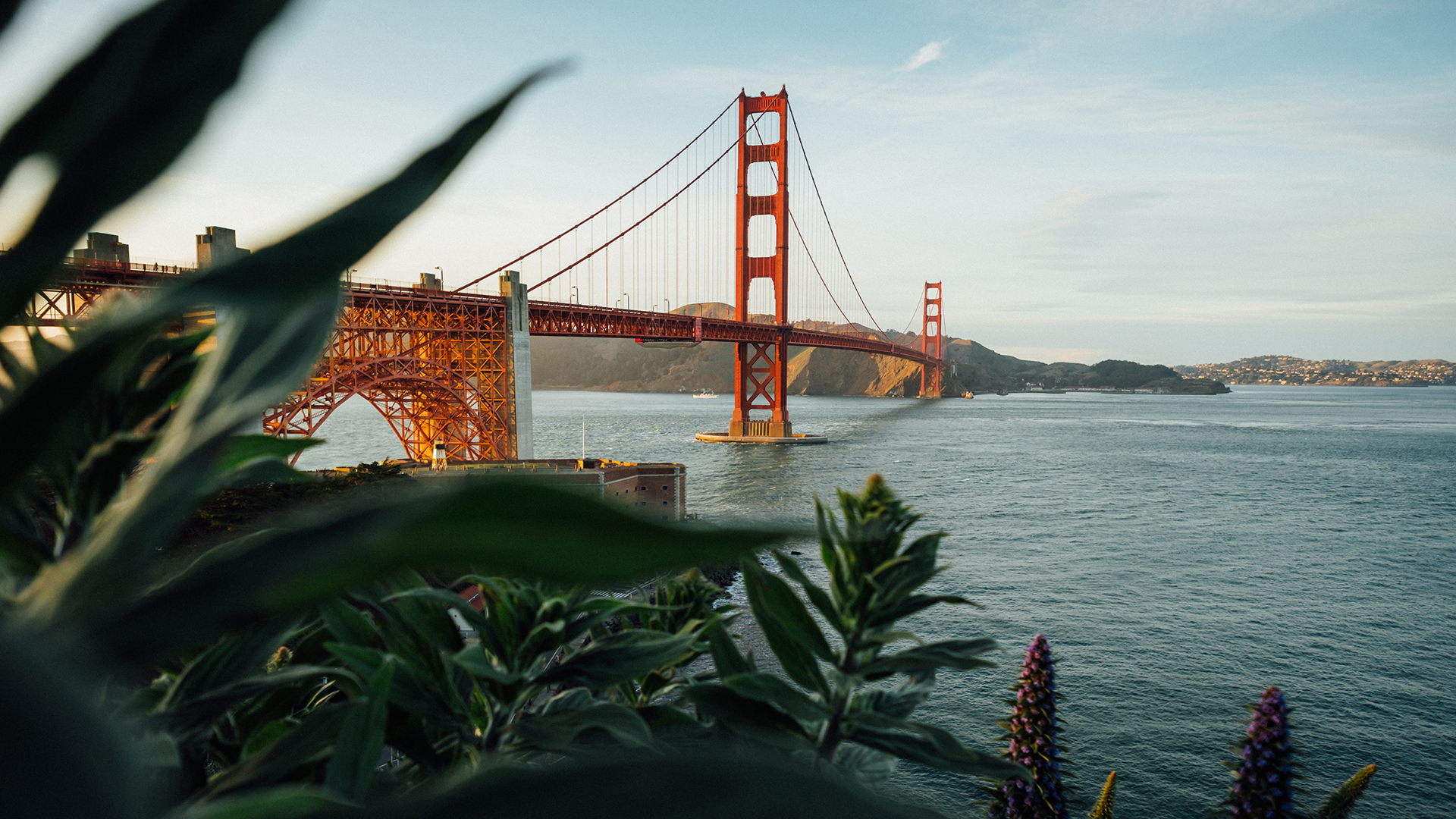 Golden Gate Bridge with leaves in foreground