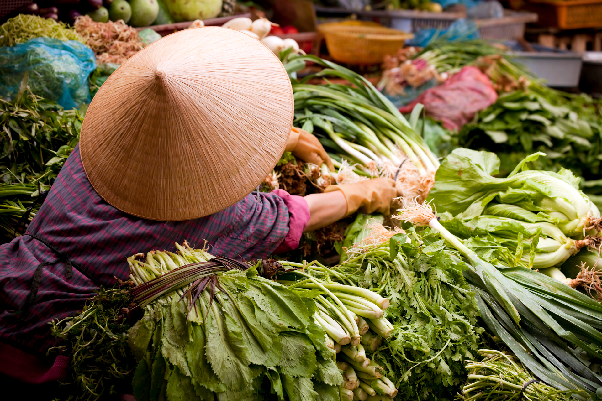 Vegetable seller at a Vietnamese Market